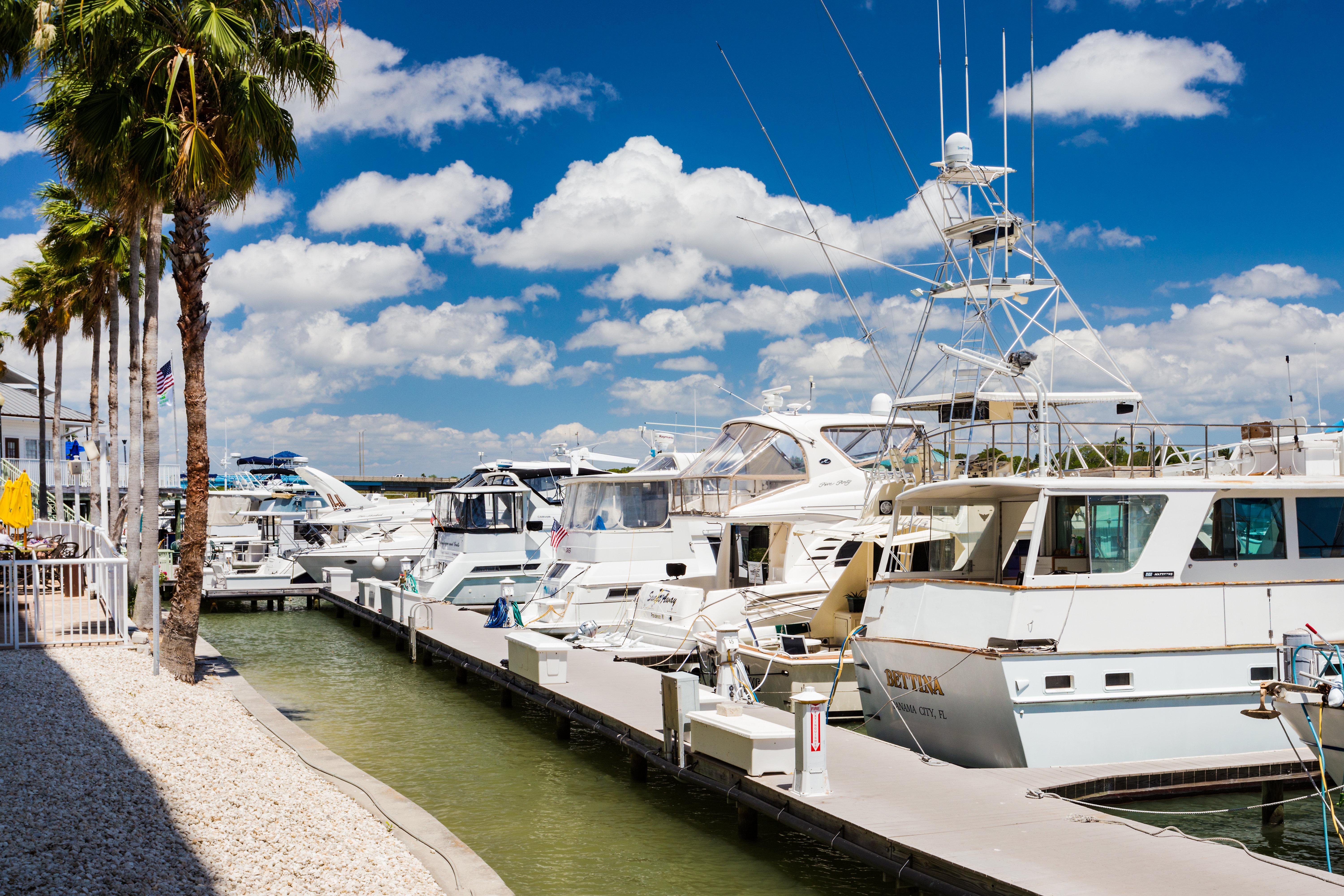 Holiday Inn & Suites Clearwater Beach S-Harbourside Экстерьер фото
